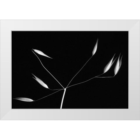 Light And Simplicity White Modern Wood Framed Art Print by Azevedo, Olavo