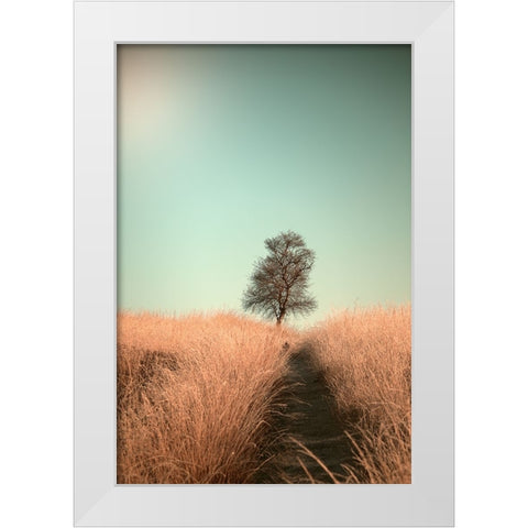 Grass And Path White Modern Wood Framed Art Print by van den, Jaap