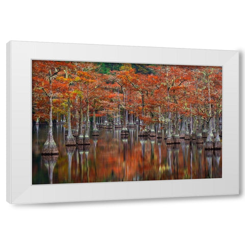 Quiet Cove White Modern Wood Framed Art Print by Moore, Chris