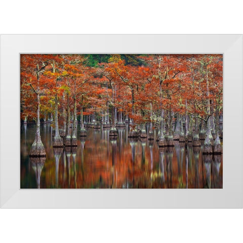Quiet Cove White Modern Wood Framed Art Print by Moore, Chris