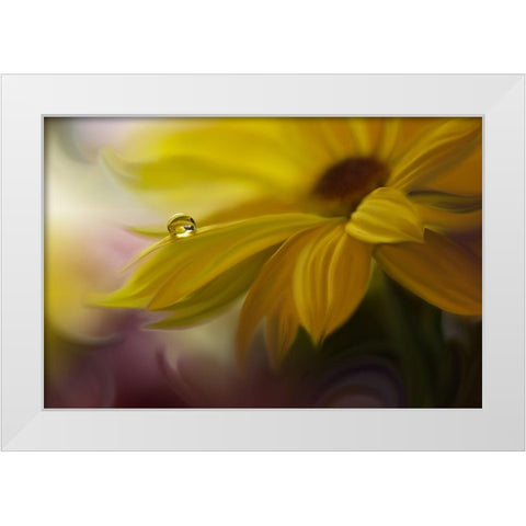 Sunbeam... White Modern Wood Framed Art Print by Nan, Juliana