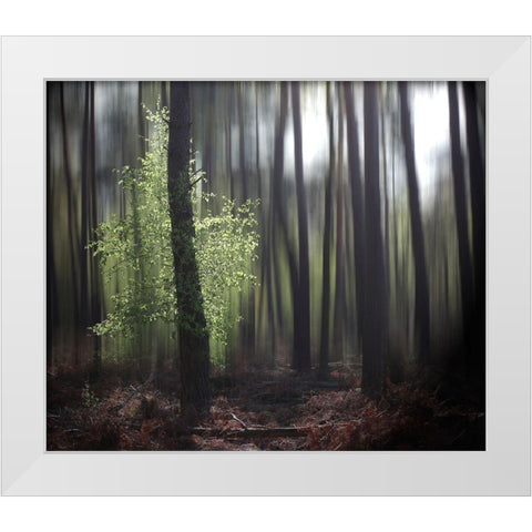 Spring Forest White Modern Wood Framed Art Print by Cseresnjes, Anna