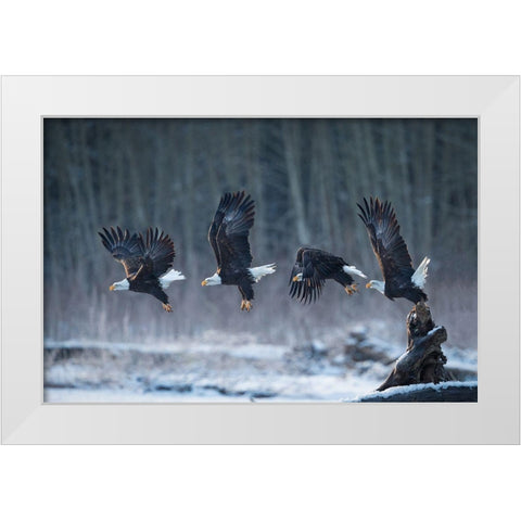 Ready-Go! White Modern Wood Framed Art Print by Uota, Katsu