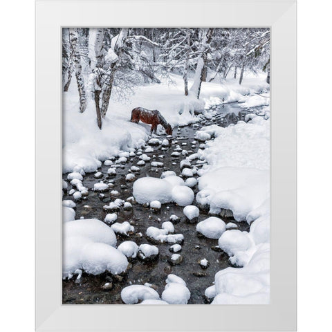 Drinking In Snow White Modern Wood Framed Art Print by Zhu, Hua