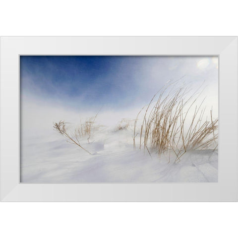 Sunny Snowstorm White Modern Wood Framed Art Print by Tonti, Carlo