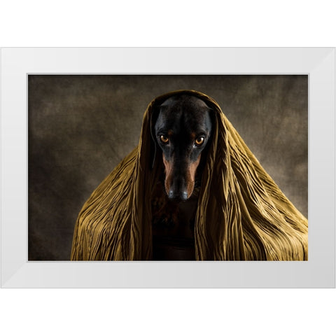 Golden Eyes White Modern Wood Framed Art Print by Willers, Heike