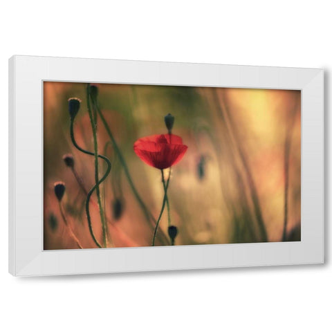 Untitled White Modern Wood Framed Art Print by Or, Keren