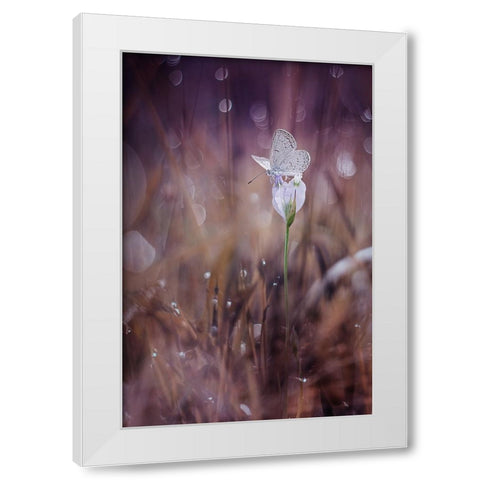 Waiting White Modern Wood Framed Art Print by Baihaki, Ahmad