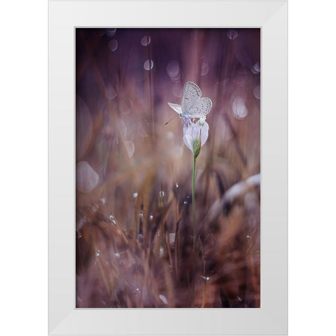 Waiting White Modern Wood Framed Art Print by Baihaki, Ahmad