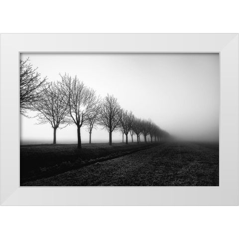 Losing Sight White Modern Wood Framed Art Print by Staelens, Christophe