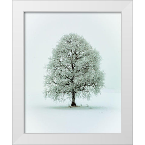 Nimloth White Modern Wood Framed Art Print by Hieke, Heinz