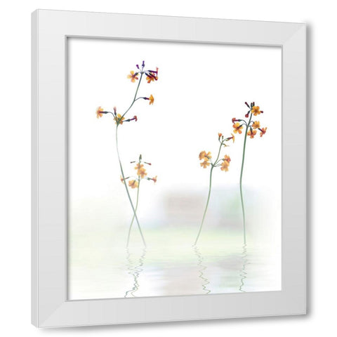 Petite Fleur .... White Modern Wood Framed Art Print by Cseresnjes, Anna