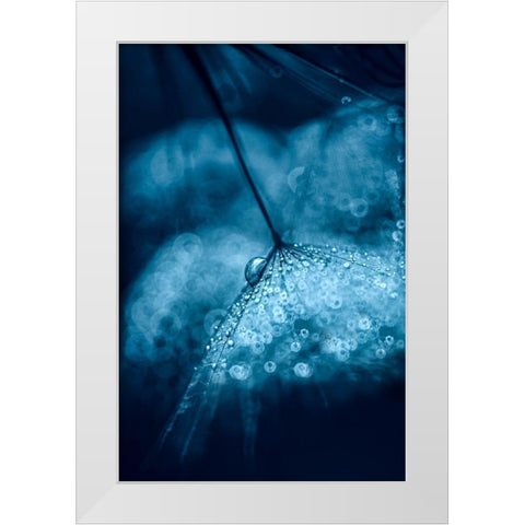Blue White Modern Wood Framed Art Print by Blagoeva, Ivelina
