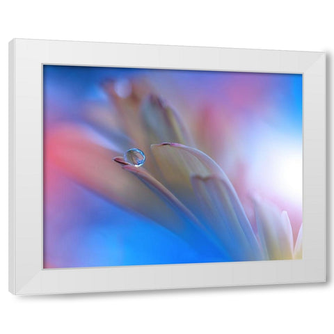 Touch Me Softly... White Modern Wood Framed Art Print by Nan, Juliana