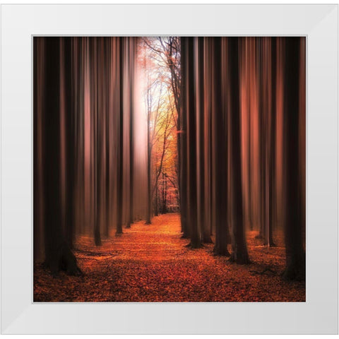 Dont Wake Me Up White Modern Wood Framed Art Print by Lindsten, Christian