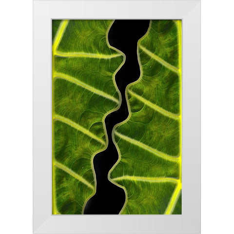 Balance White Modern Wood Framed Art Print by Memensaputra