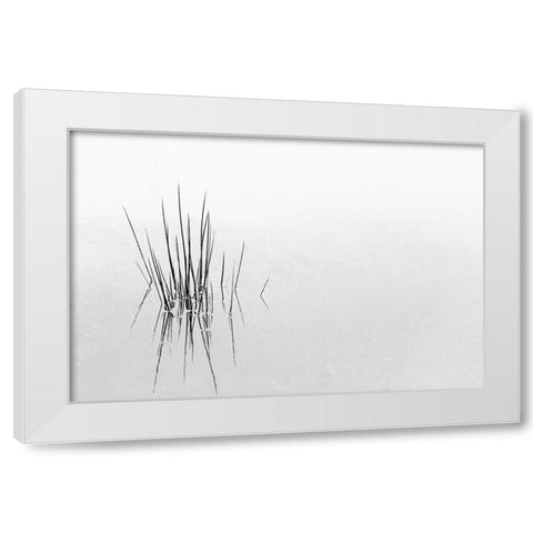 Reflections White Modern Wood Framed Art Print by Azevedo, Olavo