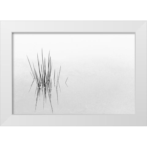 Reflections White Modern Wood Framed Art Print by Azevedo, Olavo