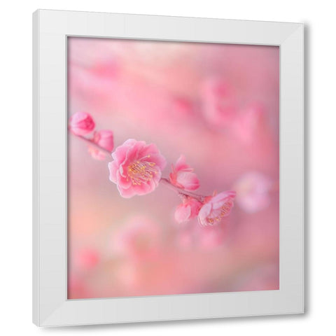 Untitled White Modern Wood Framed Art Print by Koumura, Miyako