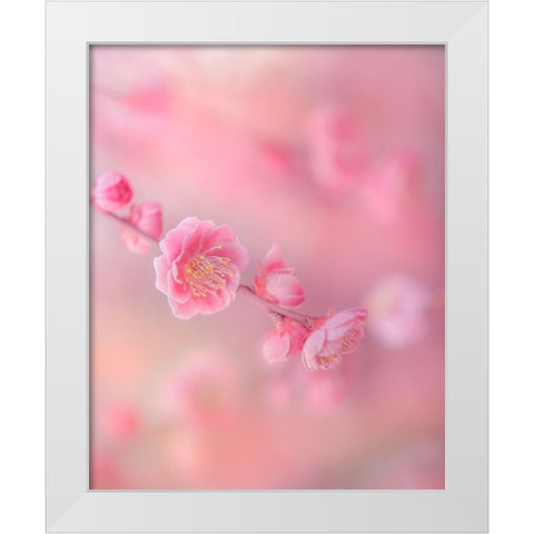 Untitled White Modern Wood Framed Art Print by Koumura, Miyako