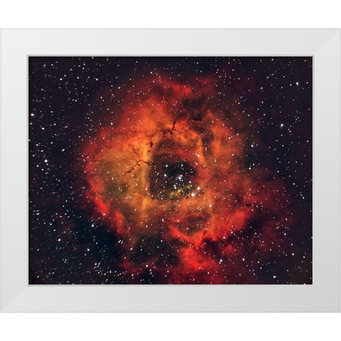 The Rose In The Sky White Modern Wood Framed Art Print by Auf Dem, Andrea