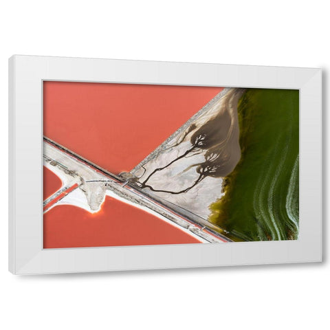Natures Painting White Modern Wood Framed Art Print by Macua, Gerald
