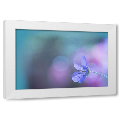 Untitled White Modern Wood Framed Art Print by Mihailowitsch, Pia