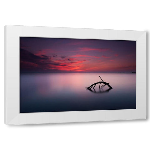 Colors Of Evening White Modern Wood Framed Art Print by Olech, Michal