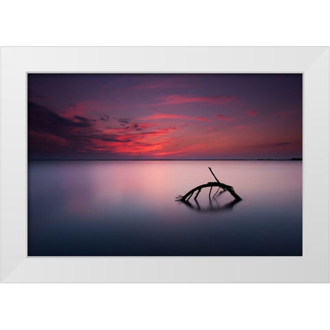 Colors Of Evening White Modern Wood Framed Art Print by Olech, Michal