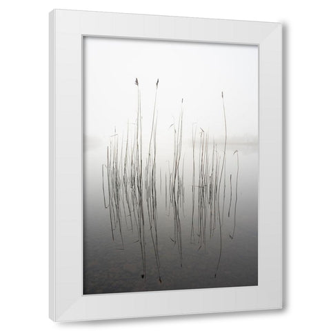 Silence White Modern Wood Framed Art Print by Ahern, David