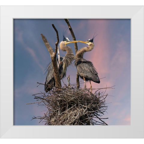 Happy Family Trio White Modern Wood Framed Art Print by Wang, Kevin