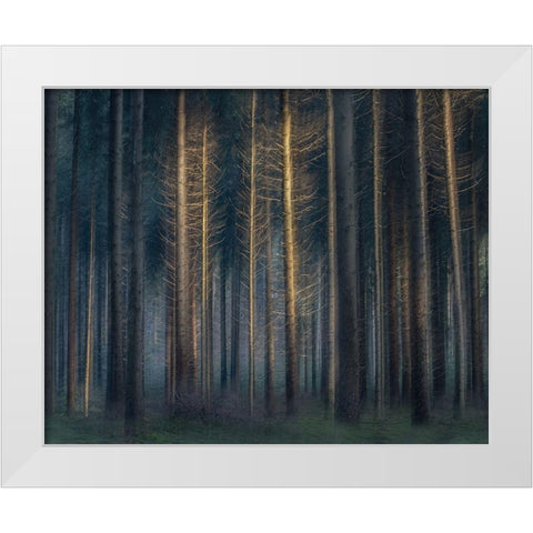 In The Afternoon White Modern Wood Framed Art Print by Talen, Nel