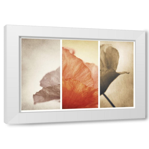 Fading Memories White Modern Wood Framed Art Print by Davidsson, Gustav