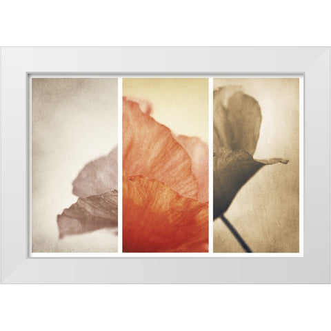 Fading Memories White Modern Wood Framed Art Print by Davidsson, Gustav