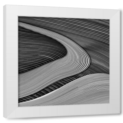 The Wood Project Iii - Zen Garden White Modern Wood Framed Art Print by Vangindertael, Luc