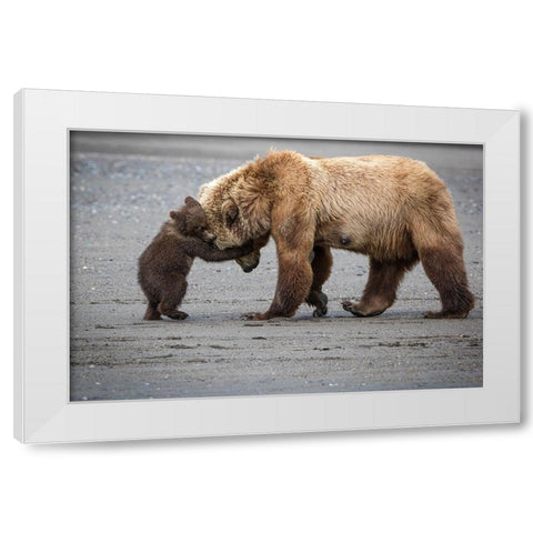 A Little Bear Hug White Modern Wood Framed Art Print by Doyle, Renee