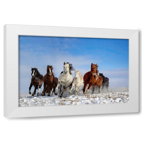 Mongolia Horses White Modern Wood Framed Art Print by Zhang, Libby