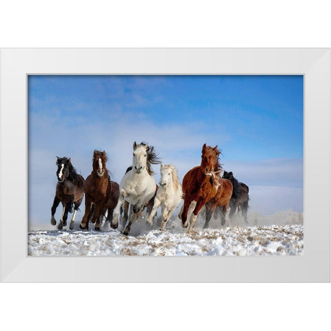 Mongolia Horses White Modern Wood Framed Art Print by Zhang, Libby