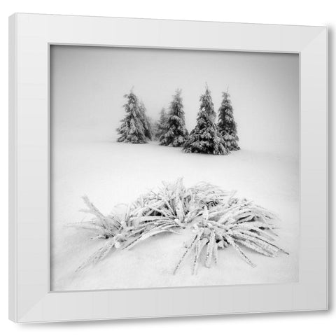 Winter Scenery White Modern Wood Framed Art Print by Rericha, Daniel