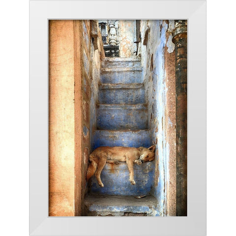 Nap Time White Modern Wood Framed Art Print by Labagnara, Roxana