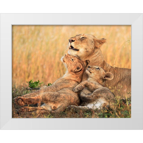Mothers Love White Modern Wood Framed Art Print by Marx, Jaco