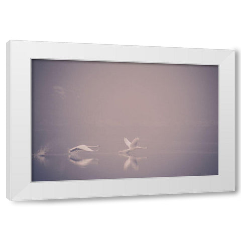 Foggy Takeoff White Modern Wood Framed Art Print by Dalheim, Jonas