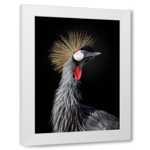 The Queen White Modern Wood Framed Art Print by Fegari