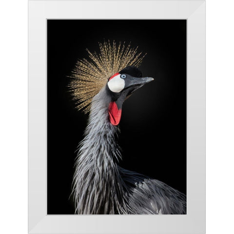 The Queen White Modern Wood Framed Art Print by Fegari