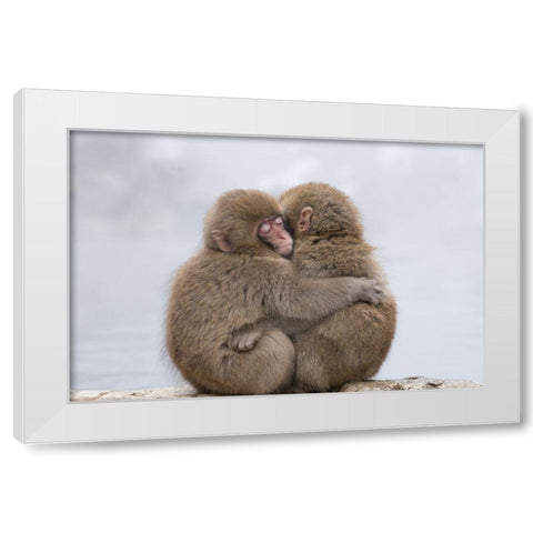 Forever Friends White Modern Wood Framed Art Print by Marumoto, Takeshi