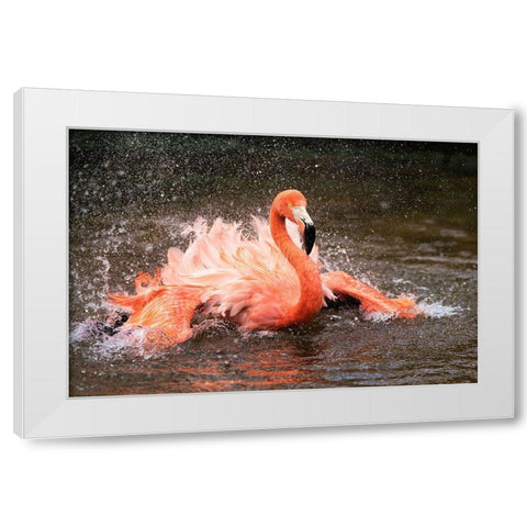 Bath White Modern Wood Framed Art Print by Fan, John