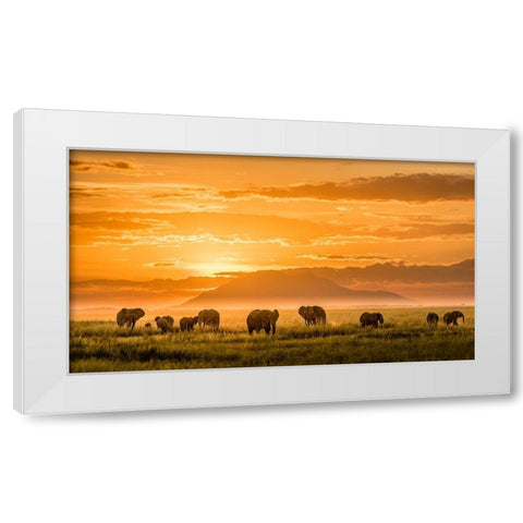 Golden Africa White Modern Wood Framed Art Print by J. Chen, John