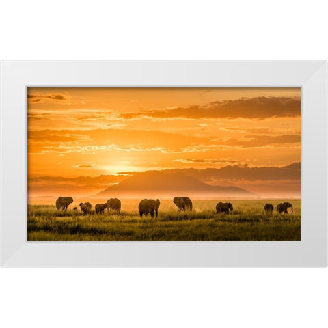 Golden Africa White Modern Wood Framed Art Print by J. Chen, John