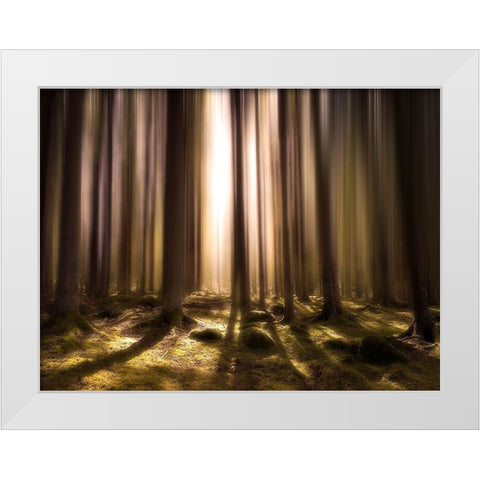 Breath Of Life White Modern Wood Framed Art Print by Lindsten, Christian