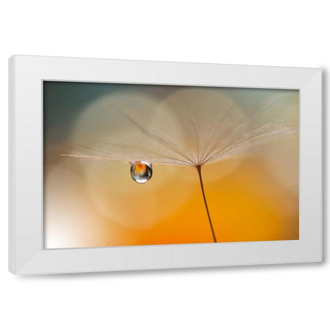 Little Night Music... White Modern Wood Framed Art Print by Nan, Juliana